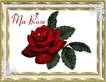 le tableau à la rose !
