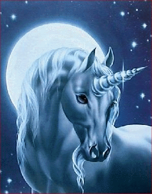 superbe licorne !