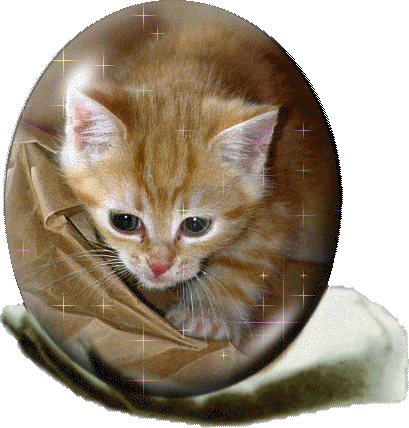 trop chou !