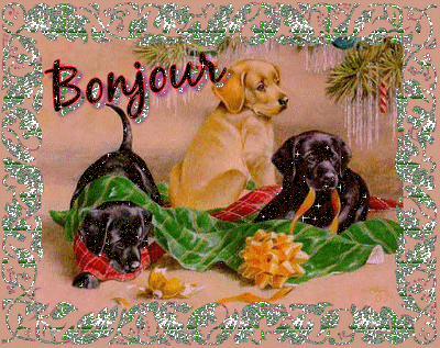 superbe trio !