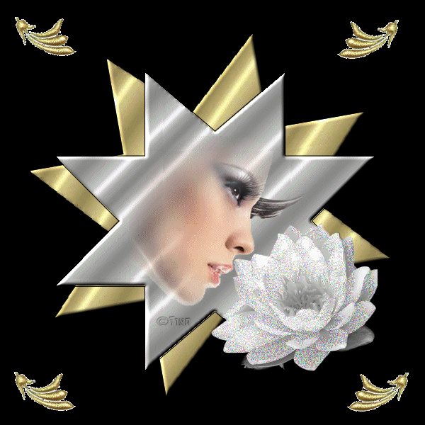 la fleur d'argent !