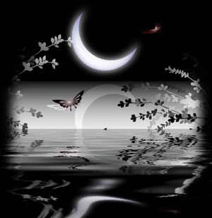 belle nuit !