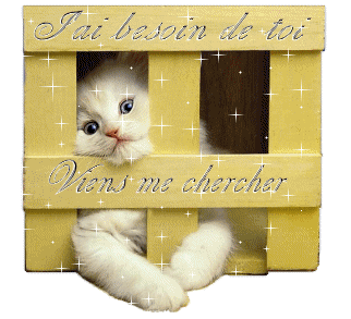 faite moi sortir de là ! spl