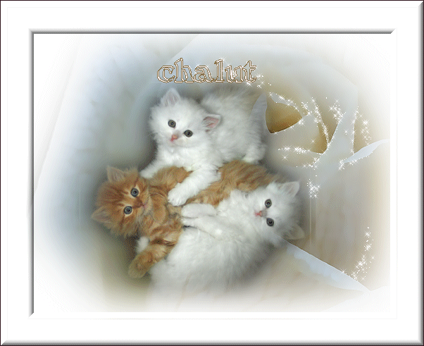 les trois frére !