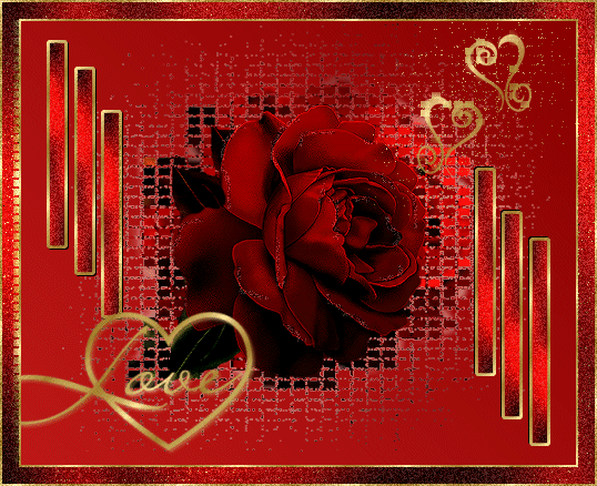 la rose amoureuse !!!