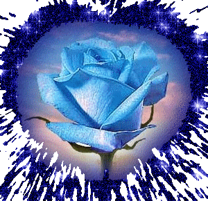 rose magique!!!