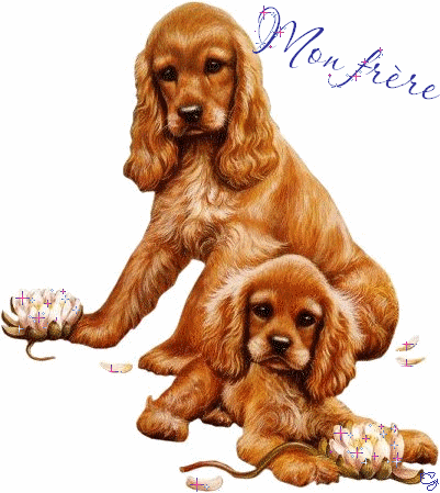 lol !!!!!! trop chou !!!!bis à mes fréres.