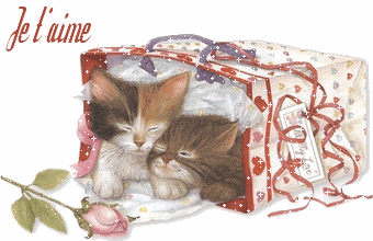 trop chou !