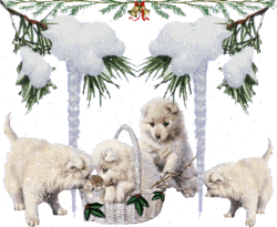 trop beau les pts chou !