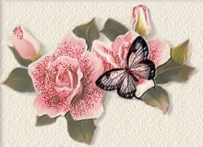 belle rose 