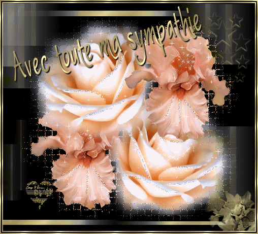 superbe rose !non
