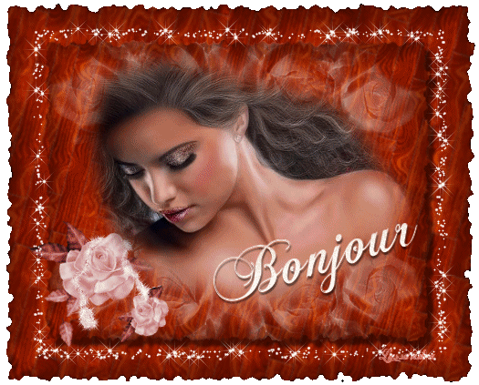 le bonjours grassieur !