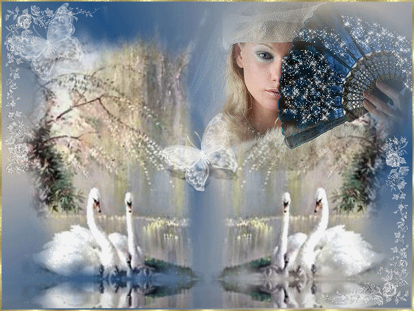 le lac des cygnes !!!