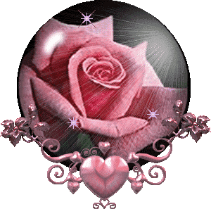 la rose boule !!!