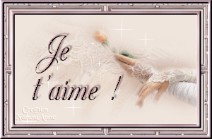 amour