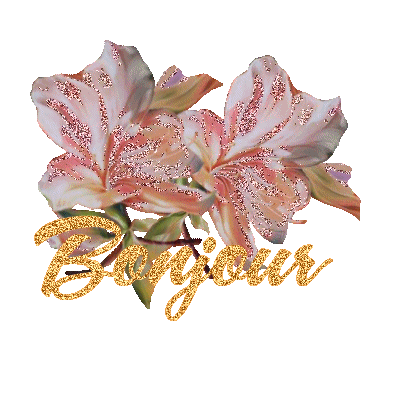 belle fleure !