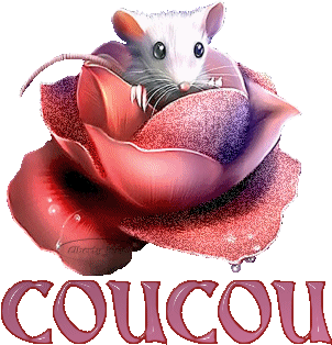 ont dit coucou à la sourie !lol