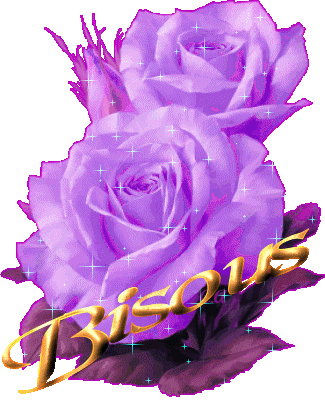 belle rose !