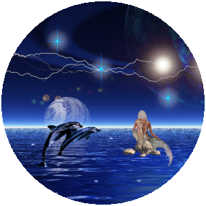 étoile de la nuit !
