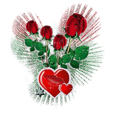 trop beau le bouquet de rose rouge !