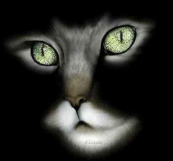 trop beau le minou !