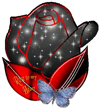 rose noir !