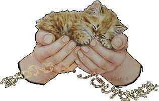 pt minou dormeur !