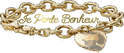 beaux bracellet