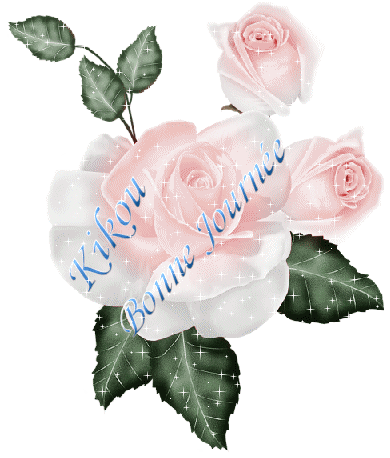 belle rose 