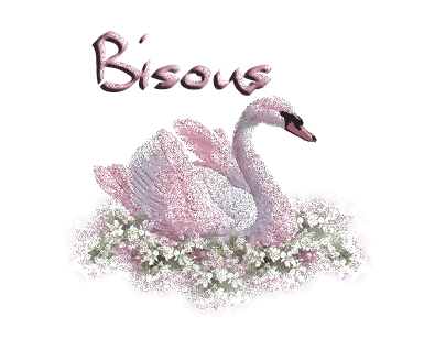 trop  beau le cygne !!!!