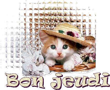 a tous ce qui passe sur mon blog !!!!