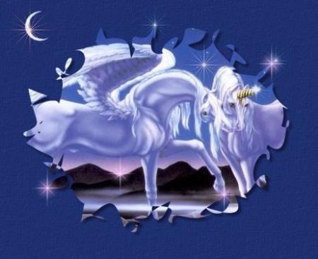 trop beau !!!