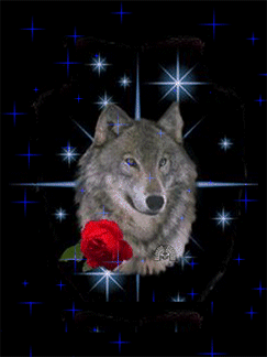 trop beau !!!
