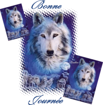 trop beau !!!!!!!!