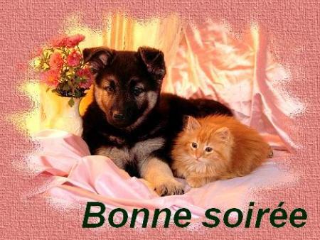 a tous ce qui passe sur mon blog !!!