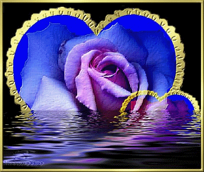 le coucher de rose !!!!!