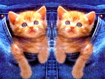 trop beau !!!!!!!!