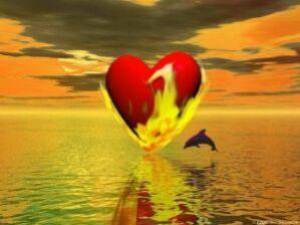 le dauphin coeur !!!