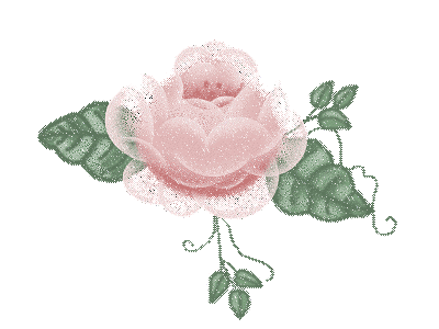 belle rose rose !!!!!