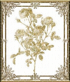 trop belle fleures !!!