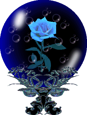 belle rose !!!!