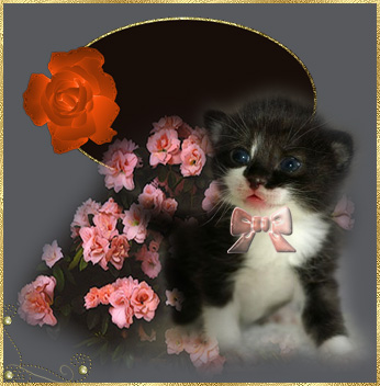trop chou !!!!