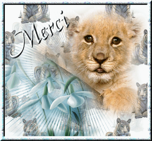 a tous mes amis(es) virtuel 
