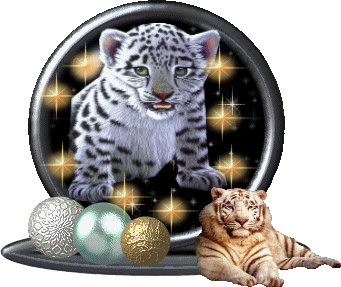 superbe les tigres !!!