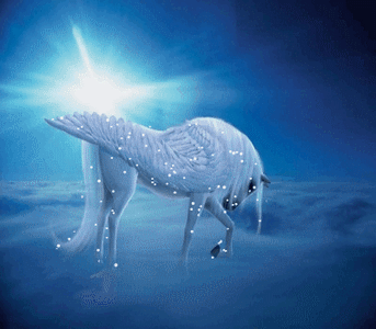 superbe cheval !!!