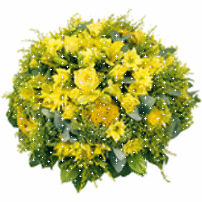 trop belle fleures !!!!