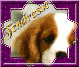 pour tous mes amies virtuel !!!