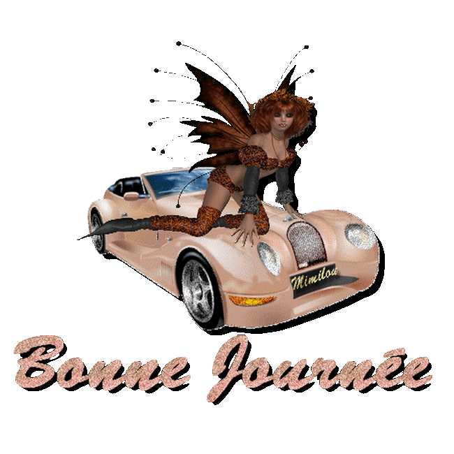 bon dimanche  vous tous  mes ami(es)